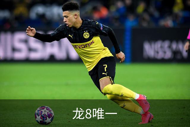 专业龙8唯一平台
